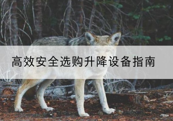 偃师升降货梯厂家推荐-*安全选购升降设备指南