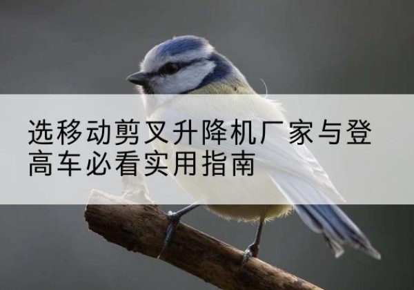 偃师电动升降机厂家-选移动剪叉升降机厂家与登高车必看实用指南