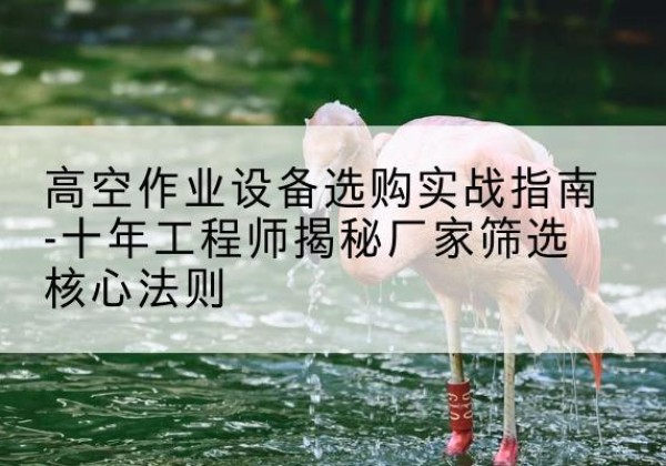 偃师剪叉式升降机厂家-高空作业设备选购实战指南-十年工程师揭秘厂家筛选核心法则